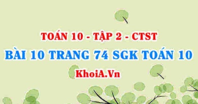 Bài 10 trang 74 SGK Toán 10 tập 2 Chân trời sáng tạo